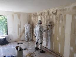 Best Mold Documentation for Insurance Claims  in Tarrytown, NY